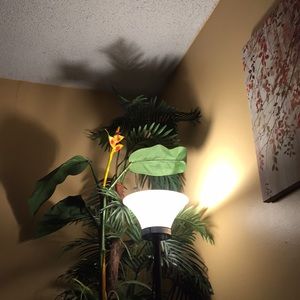 Meet your Posher, Isabel